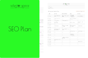 Monthly SEO website promotion plan from SELECTOR.SPACE