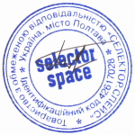 Якісна, адаптивна розробка сайтів гарантована | SELECTOR SPACE